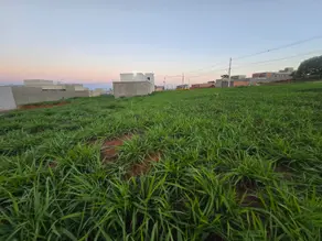 Imagem 3 - Terreno em Setor Benjamin, Hidrolândia - GO