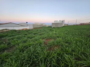 Imagem 5 - Terreno em Setor Benjamin, Hidrolândia - GO
