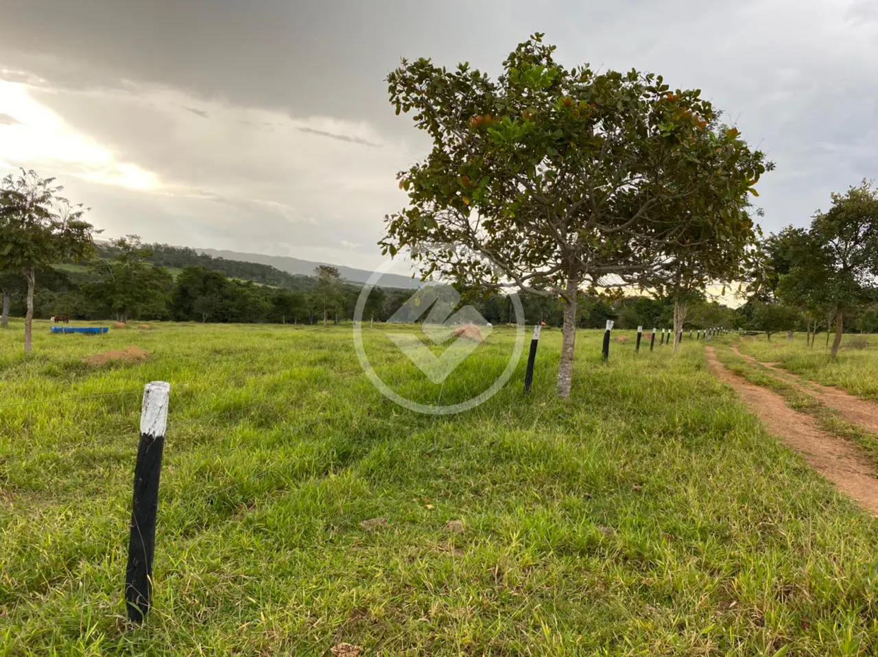 Imagem 6 - Fazenda em Chácara em Hidrolândia, Hidrolândia - GO