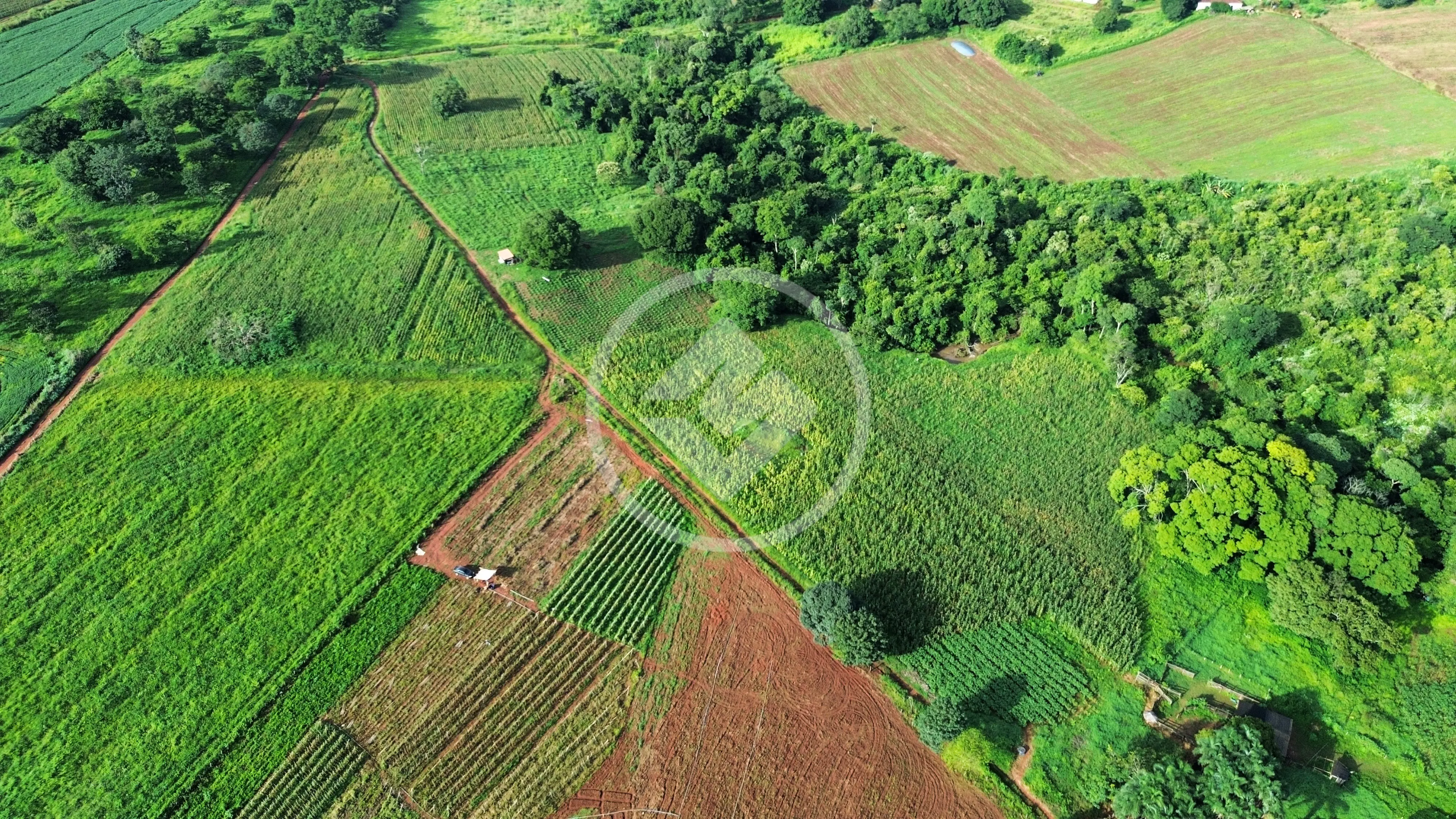 Imagem 5 - Fazenda em Área Rural de Anápolis, Anápolis - GO