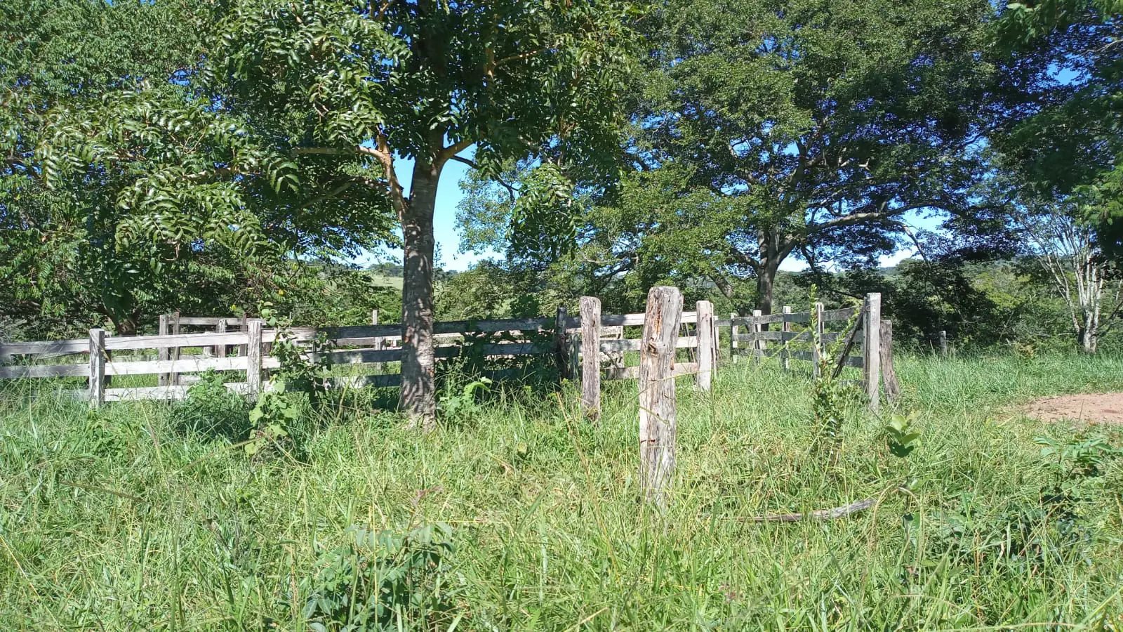 Imagem 1 - Fazenda em Zona Rural, Hidrolândia - GO