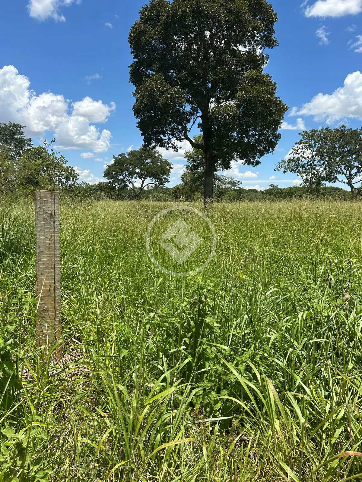 Imagem 5 - Chácara em Zona Rural, Hidrolândia - GO