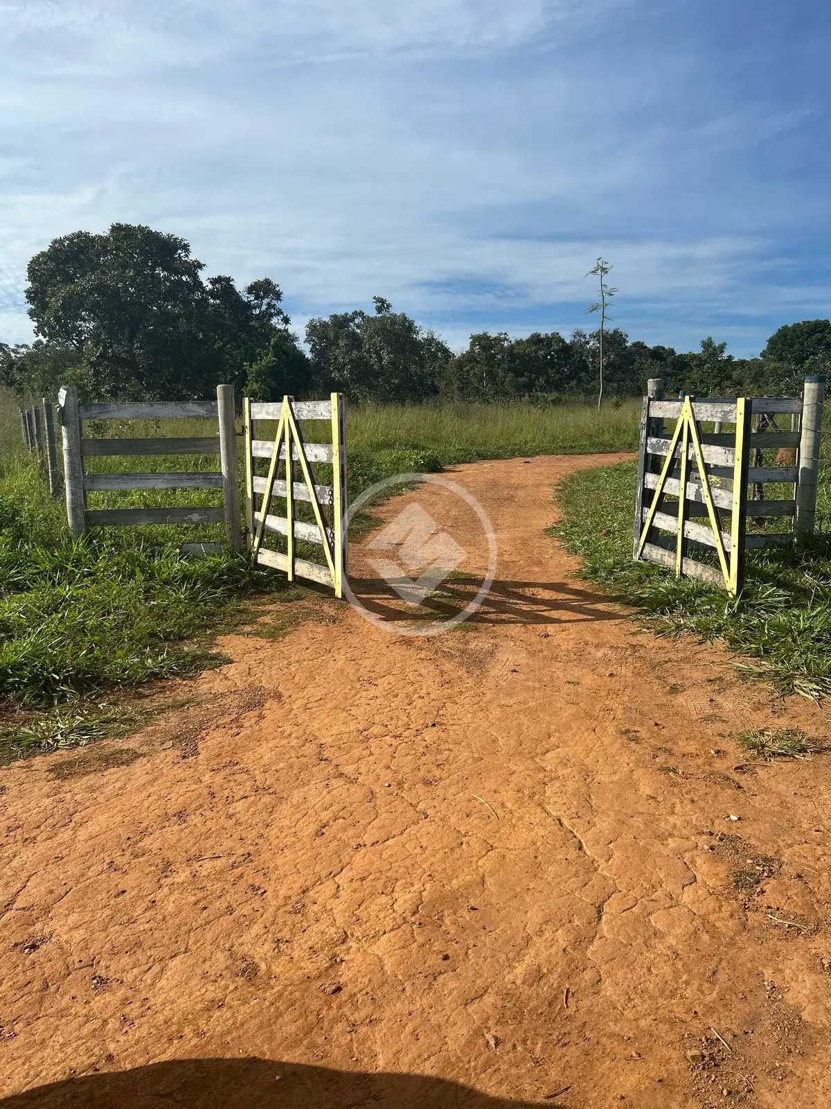 Imagem 6 - Chácara em Zona Rural Hidrolandia, Hidrolândia - GO