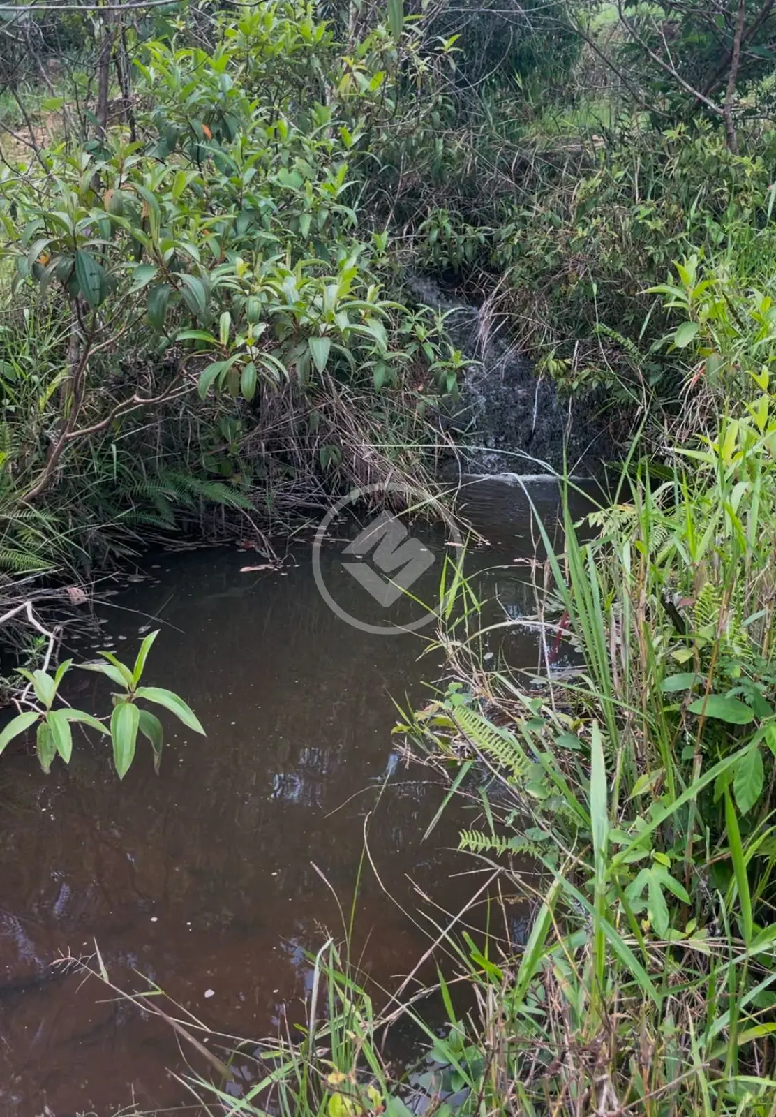Imagem 4 - Chácara em Aréa Rural Aragoiânia, Aragoiânia - GO