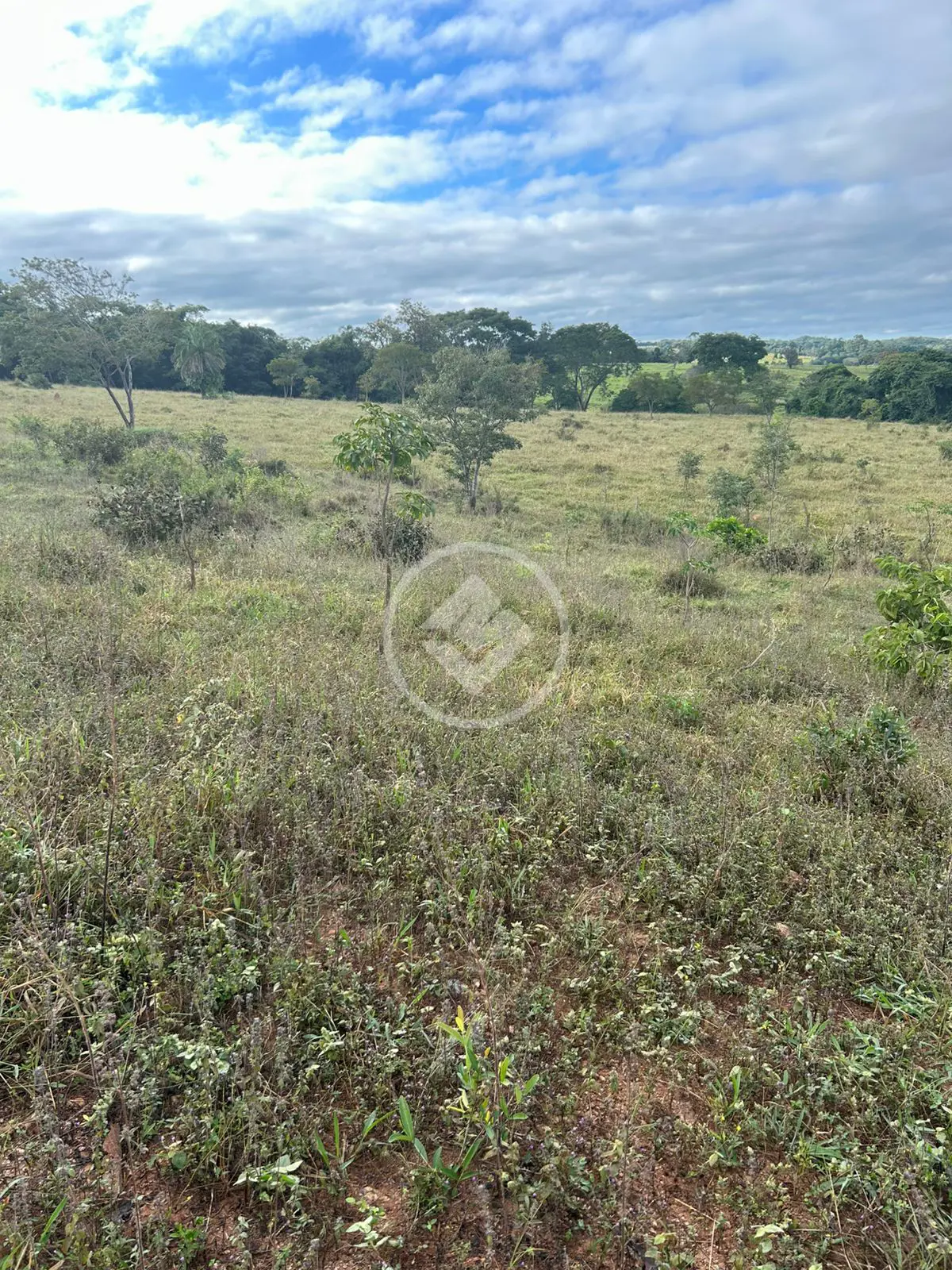 Image 16 - Chácara em Zona Rural Hidrolandia, Hidrolândia - GO