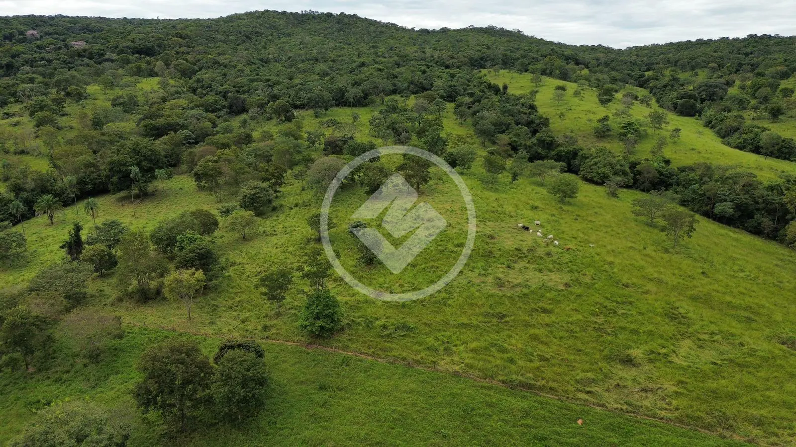 Fazenda Zona Rural, Caldazinha - GO — foto 1