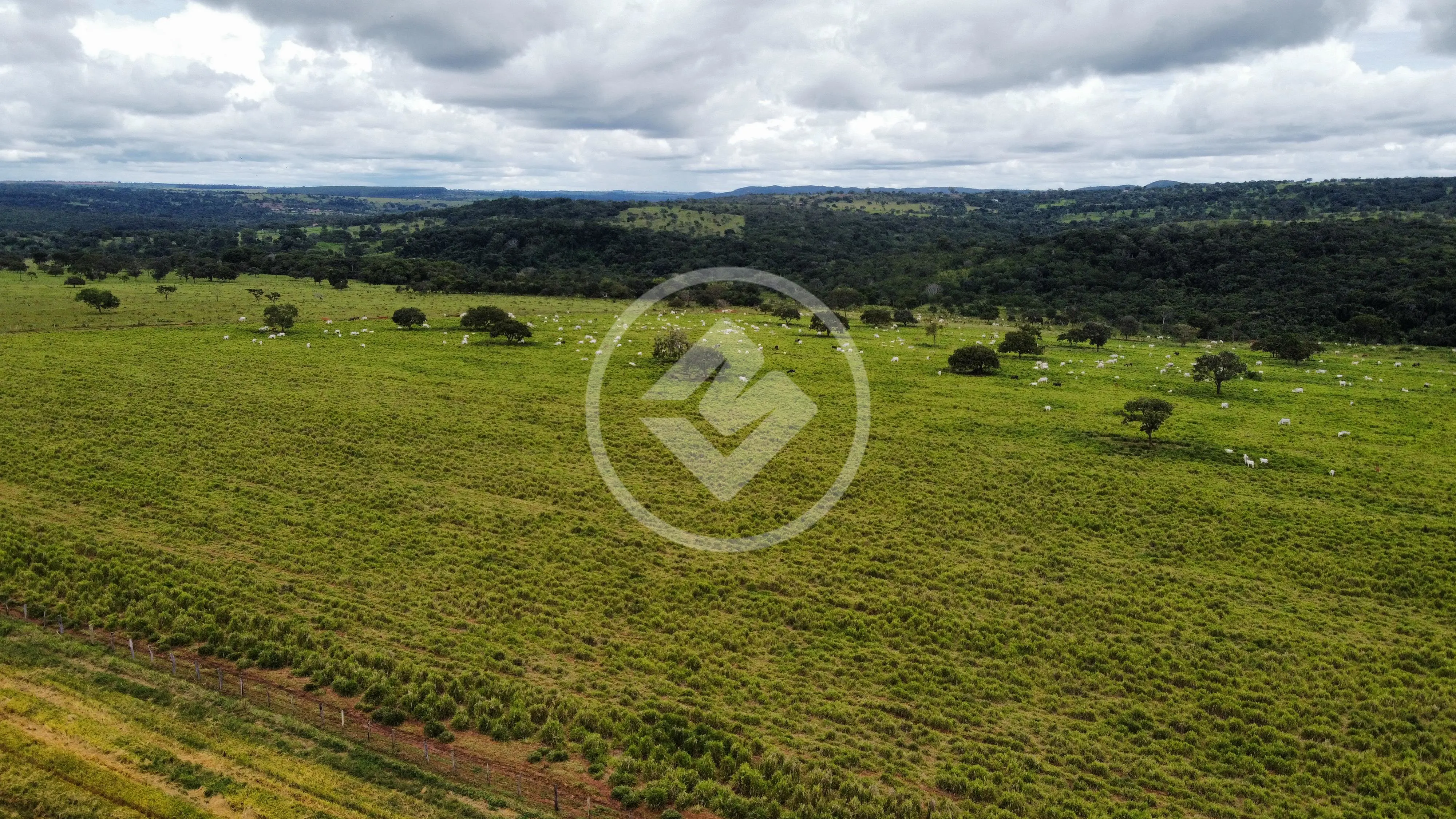 Image 9 - Fazenda em Zona Rural, Hidrolândia - GO