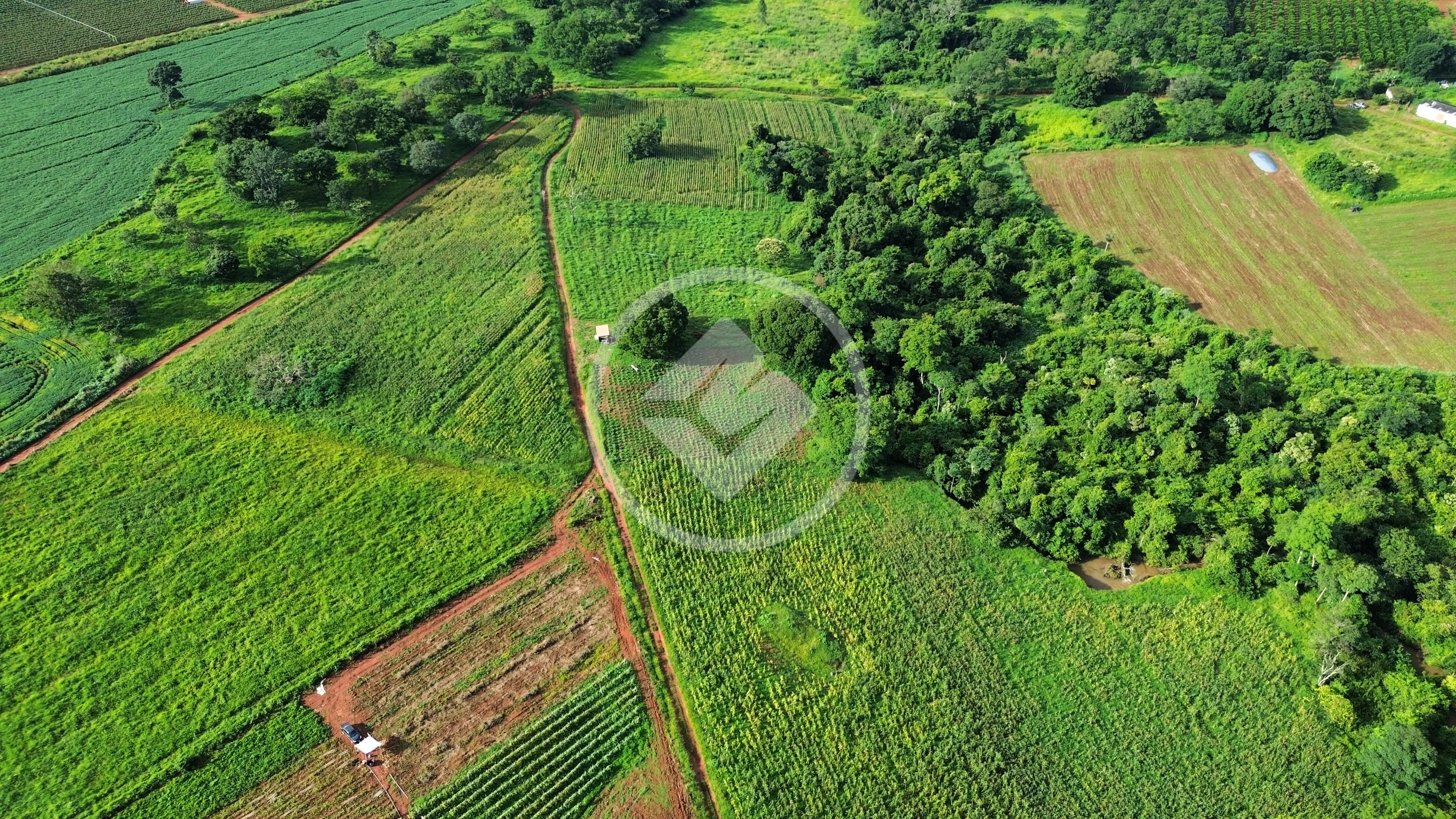 Fazenda Área Rural de Anápolis, Anápolis - GO — foto 1