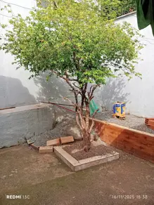 Imagem 6 - Casa em Jardim Rosa do Sul, Aparecida de Goiânia - GO