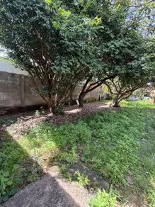 Terreno Setor Central, Aparecida de Goiânia - GO — foto 2