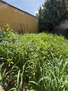 Imagem 5 - Terreno em Setor Central, Aparecida de Goiânia - GO
