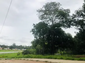 Imagem 2 - Terreno em Pontal Sul - Acréscimo, Aparecida de Goiânia - GO