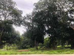 Terreno Pontal Sul - Acréscimo, Aparecida de Goiânia - GO — foto 2