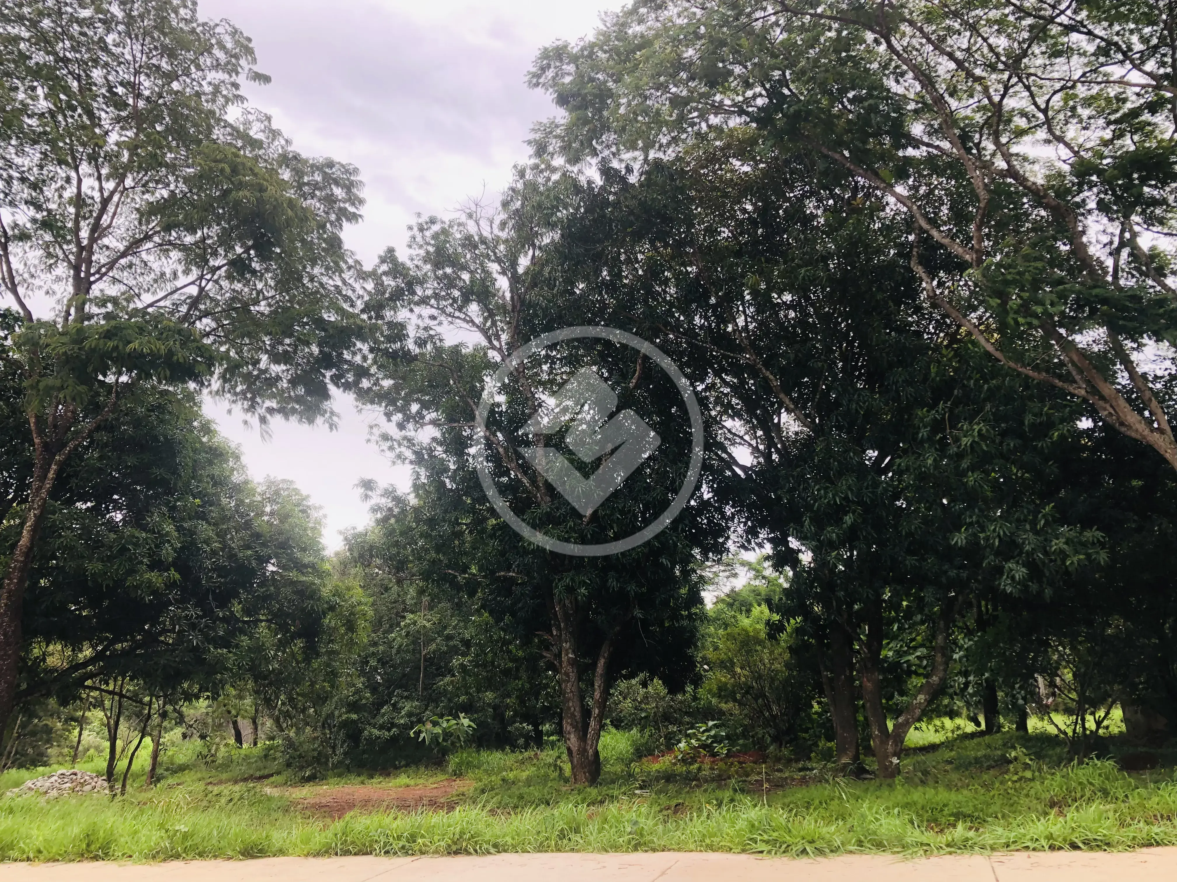 Image 2 - Terreno em Pontal Sul - Acréscimo, Aparecida de Goiânia - GO