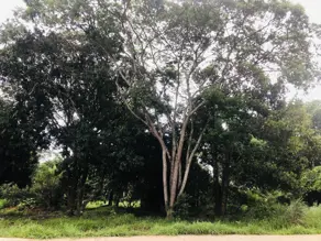 Terreno Pontal Sul - Acréscimo, Aparecida de Goiânia - GO — foto 1