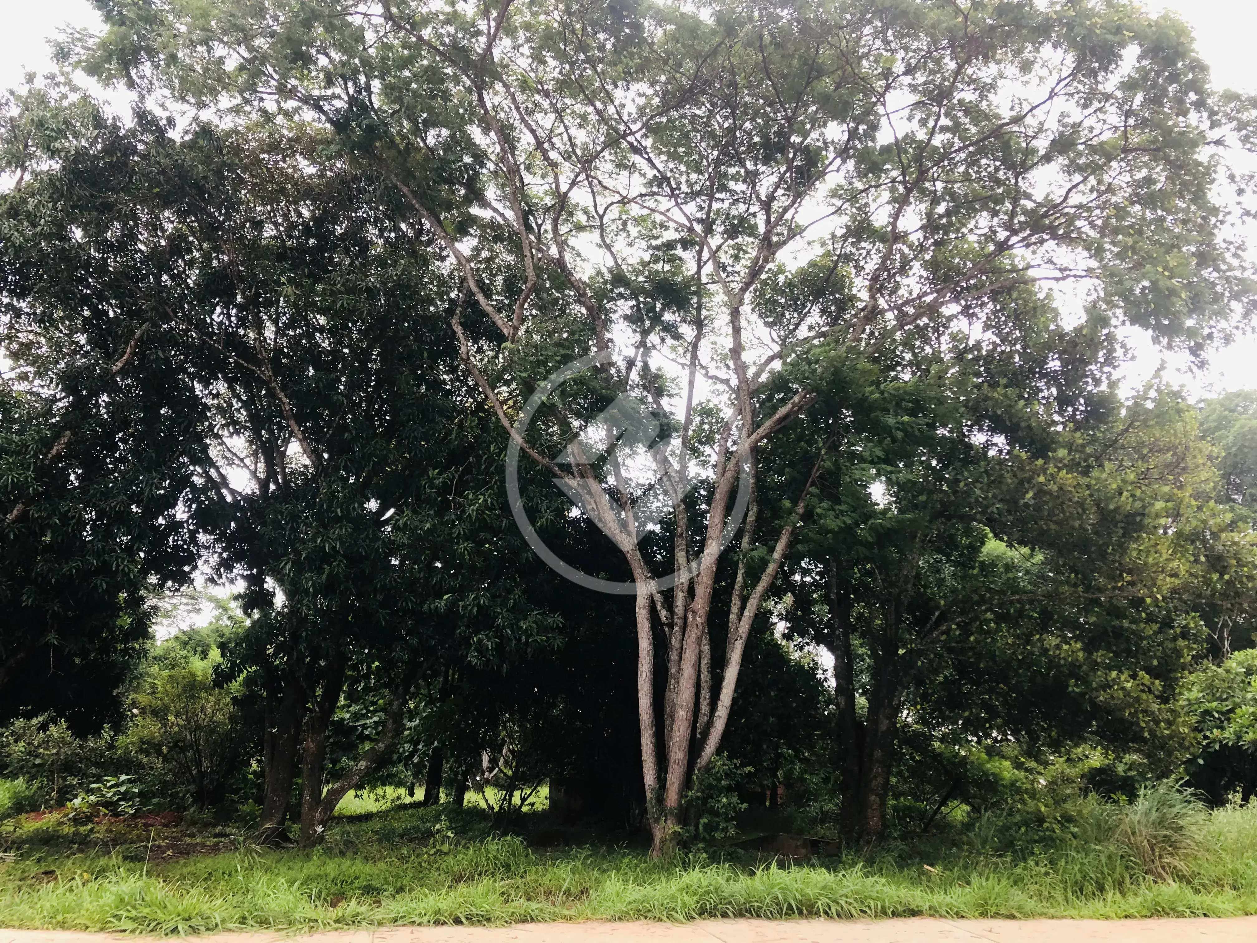 Imagem 1 - Terreno em Pontal Sul - Acréscimo, Aparecida de Goiânia - GO