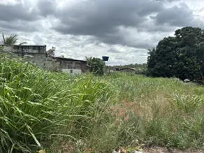 Imagem 3 - Terreno em Residencial Village Garavelo, Aparecida de Goiânia - GO
