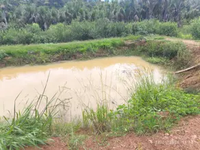 Terreno Condomínio Centro, Aragoiânia - GO — foto 2