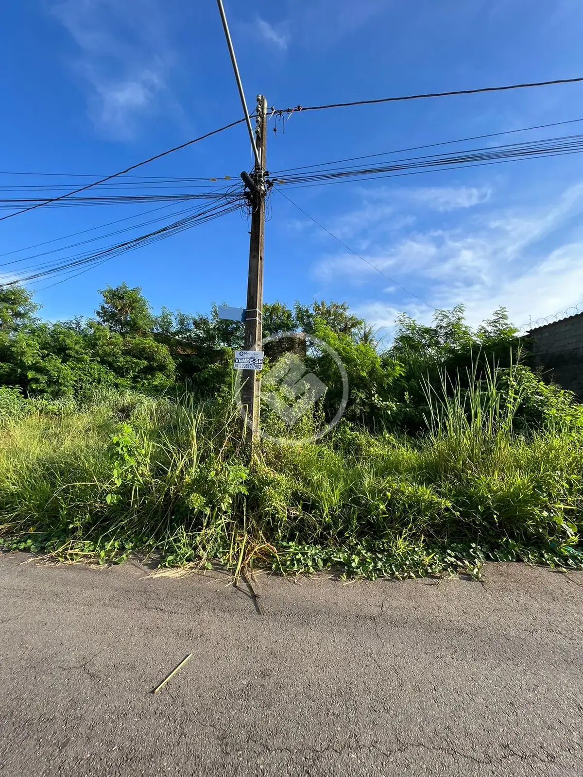 Image 4 - Terreno em Residencial Aruanã, Goiânia - GO