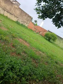 Terreno Vila Oliveira, Aparecida de Goiânia - GO — foto 2