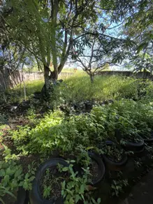 Imagem 5 - Casa em Jardim Dom Bosco, Aparecida de Goiânia - GO