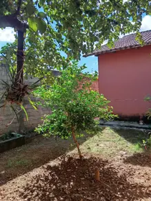 Imagem 5 - Casa em Residencial Itaipu, Goiânia - GO