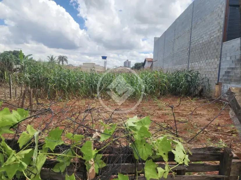 Image 5 - Terreno Comercial em Setor Ocidente da Vila Brasília, Aparecida de Goiânia - GO