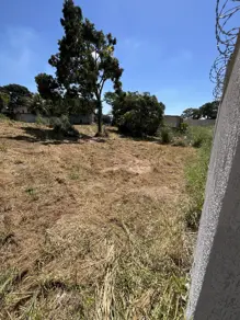 Imagem 3 - Terreno em Nova Olinda, Aparecida de Goiânia - GO