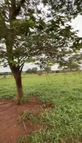 Imagem 3 - Terreno Condomínio em Cidade Nova de Guapo 2 Parte, Guapó - GO