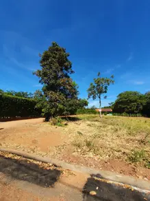 Imagem 2 - Terreno em Zona Rural, Bela Vista de Goiás - GO