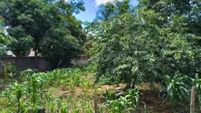 Casa Zona rural, Aragoiânia - GO — foto 1