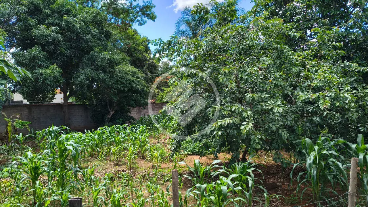 Imagem 1 - Casa em Zona rural, Aragoiânia - GO