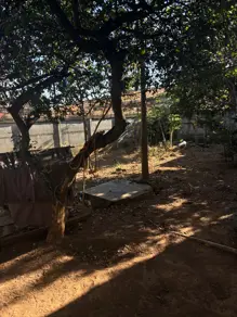 Imagem 3 - Casa em Célia Maria, Aparecida de Goiânia - GO