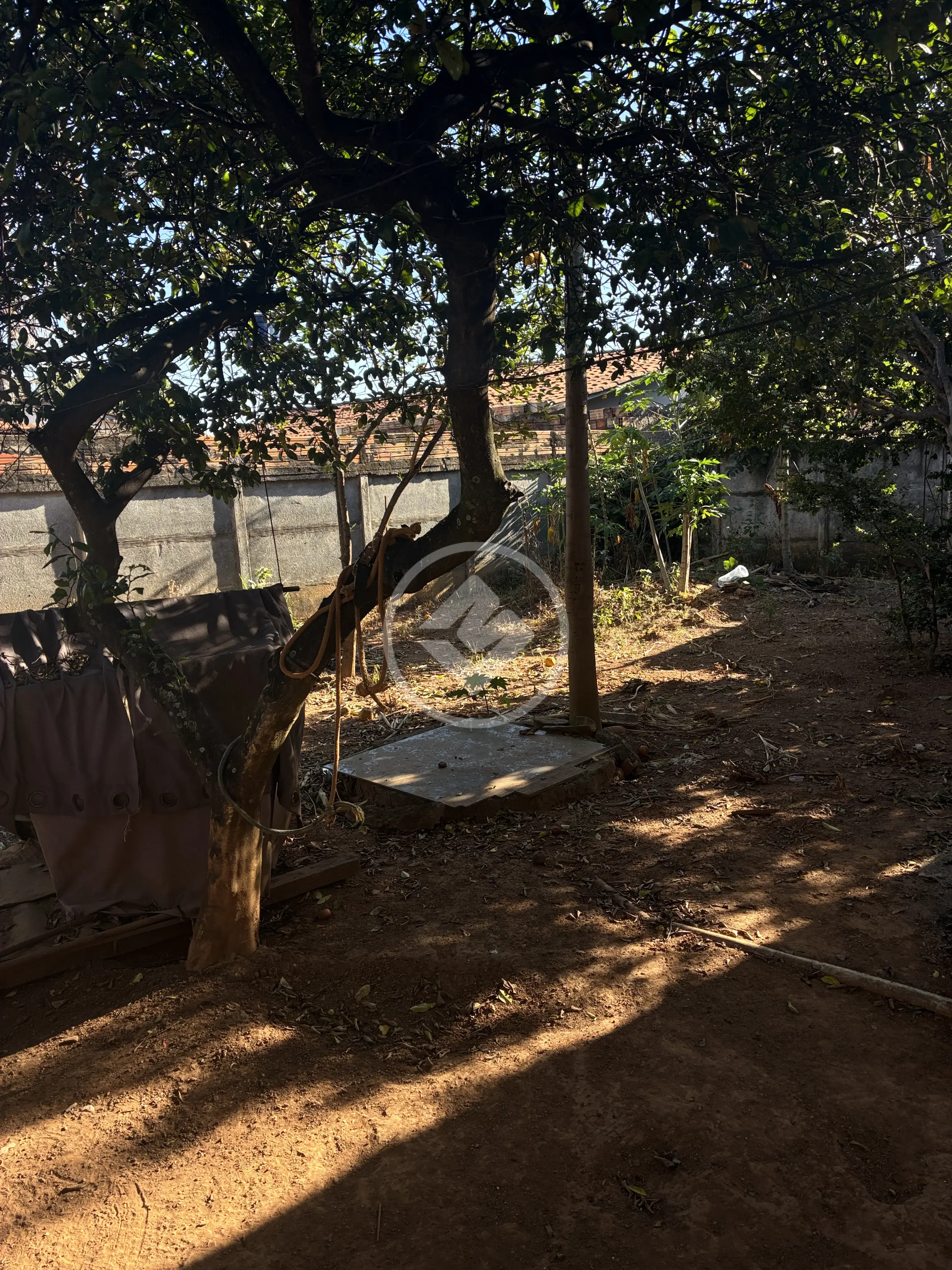 Imagem 3 - Casa em Célia Maria, Aparecida de Goiânia - GO
