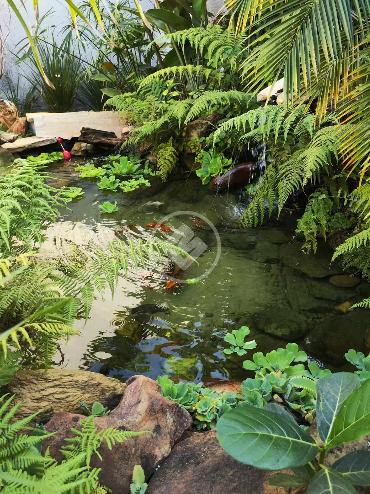 Imagem 1 - Casa em Jardim Maranata, Aparecida de Goiânia - GO