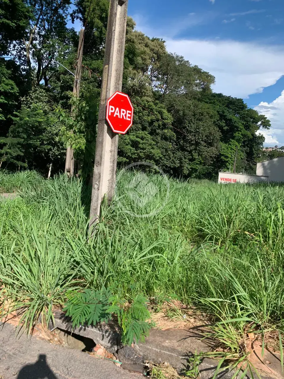 Imagem 1 - Terreno em Parque Veiga Jardim, Aparecida de Goiânia - GO