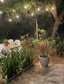 Fazenda Zona Rural, Cocalzinho de Goiás - GO — foto 2