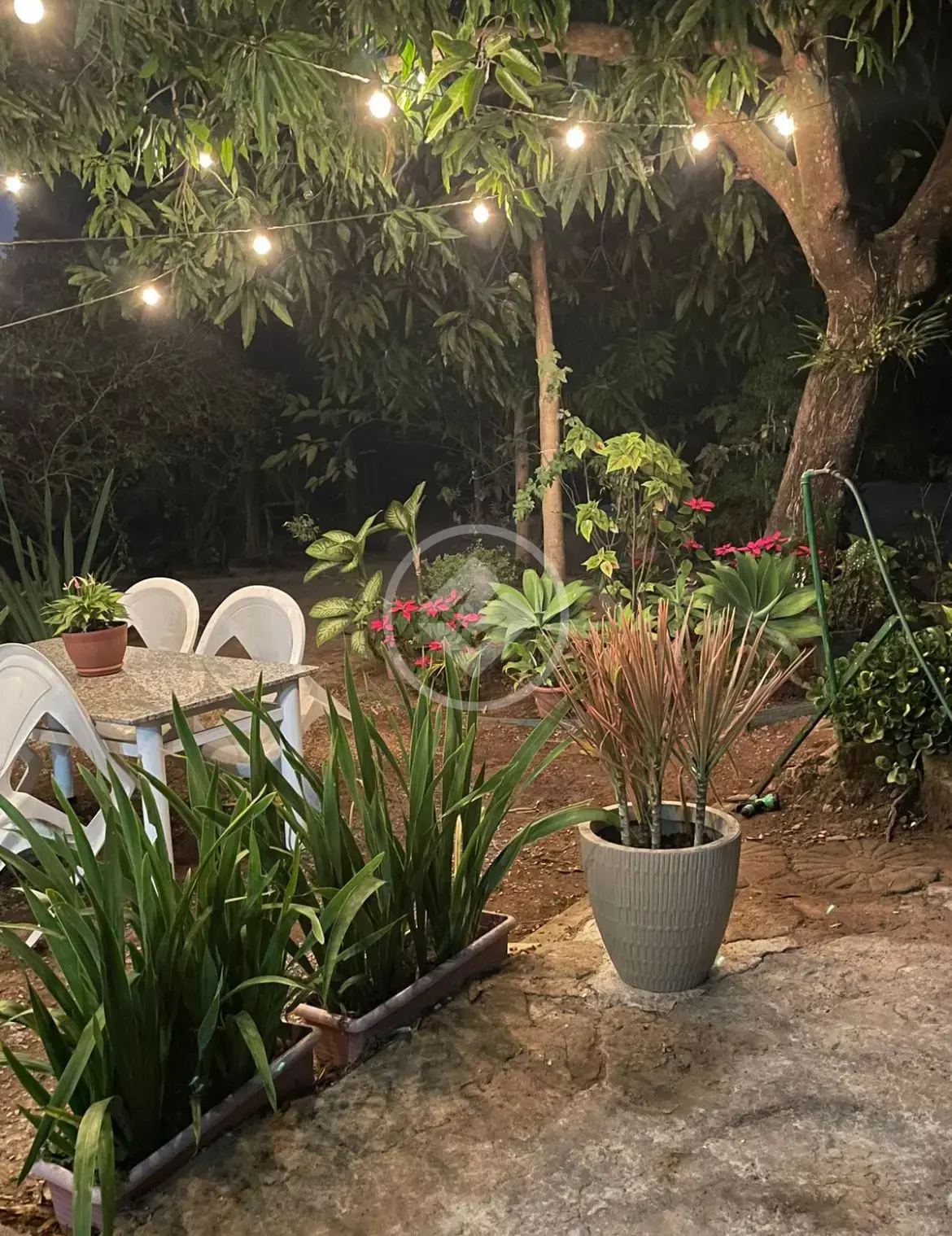Imagem 1 - Fazenda em Zona Rural, Cocalzinho de Goiás - GO