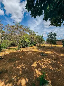 Imagem 3 - Chácara em Parque das Acácias, Aragoiânia - GO