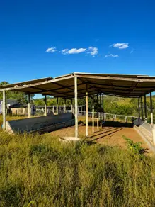 Fazenda Girassol, Cocalzinho de Goiás - GO — foto 2