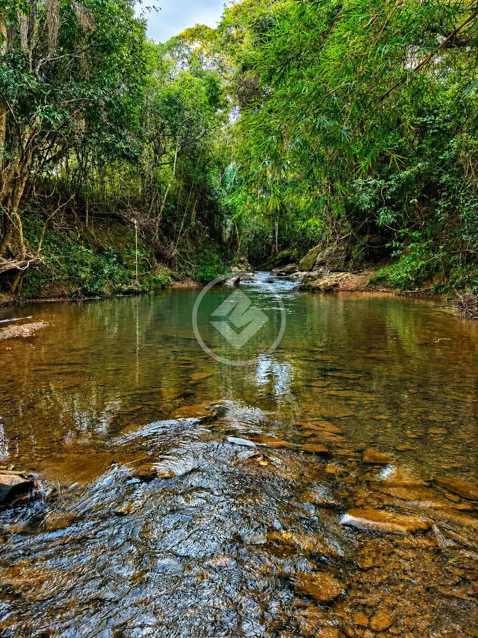 Imagem 4 - Fazenda em Girassol, Cocalzinho de Goiás - GO