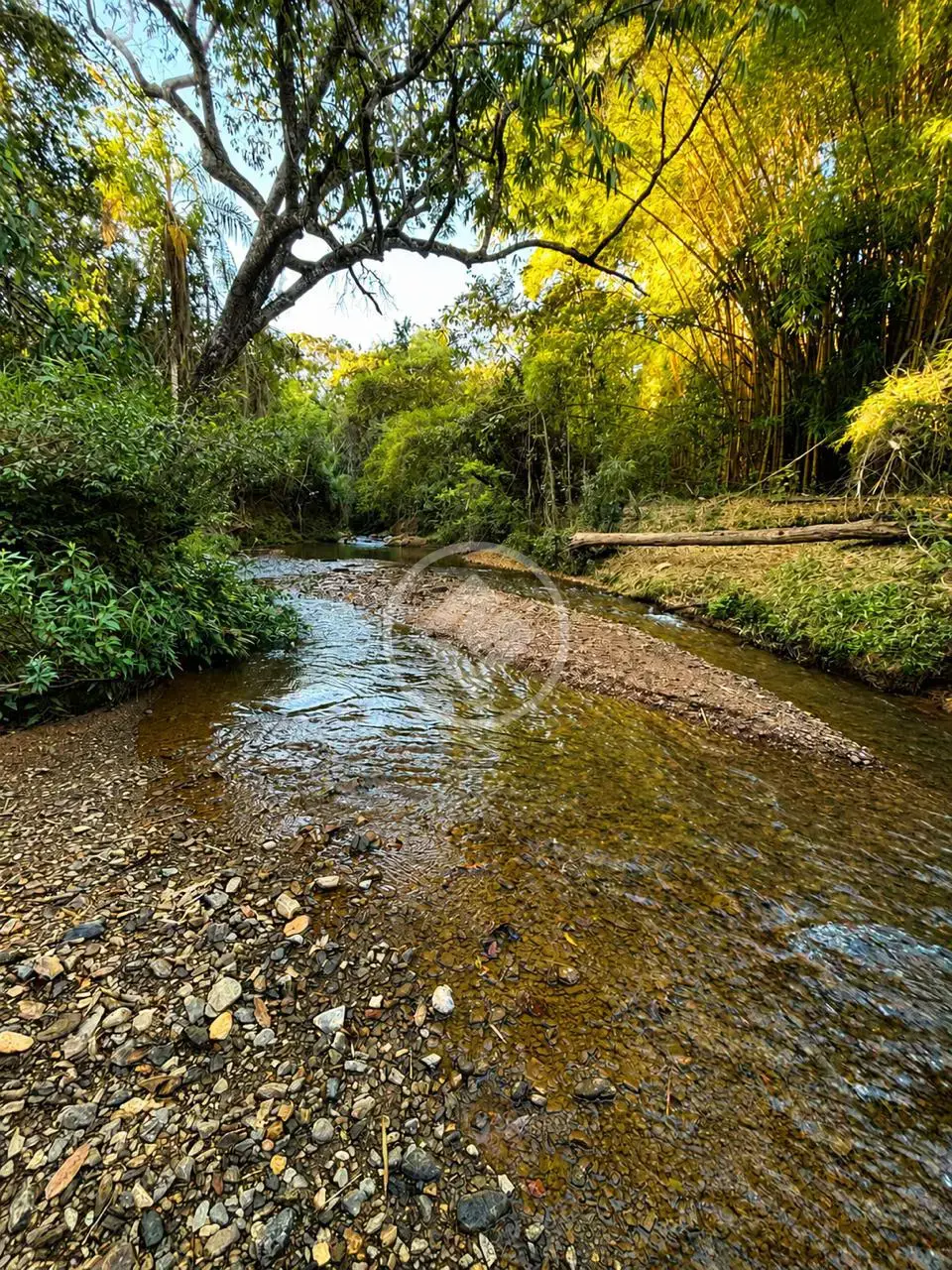 Imagem 3 - Fazenda em Girassol, Cocalzinho de Goiás - GO