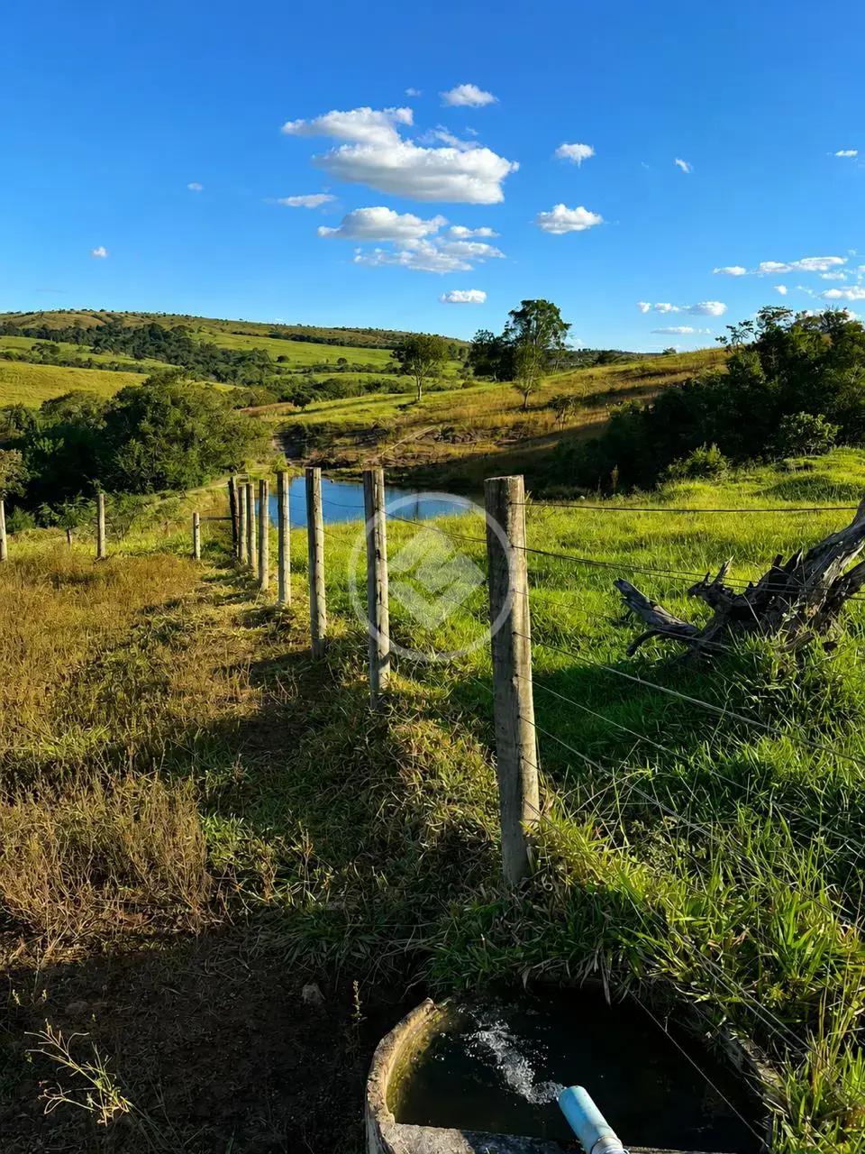 Imagem 6 - Fazenda em Girassol, Cocalzinho de Goiás - GO