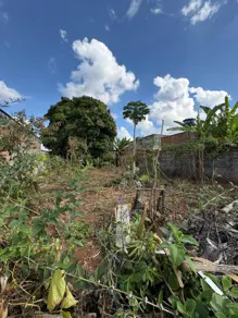 Imagem 3 - Terreno em Papillon Park, Aparecida de Goiânia - GO