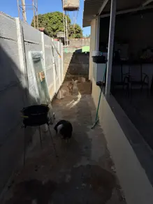 Imagem 4 - Casa em Residencial Brasicon I, Aparecida de Goiânia - GO
