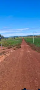 Fazenda Pindorama do Tocantins, Pindorama do Tocantins - TO — foto 2