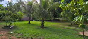 Imagem 6 - Chácara em Centro, Hidrolândia - GO