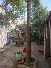 Imagem 2 - Casa em Nova Cidade, Aparecida de Goiânia - GO
