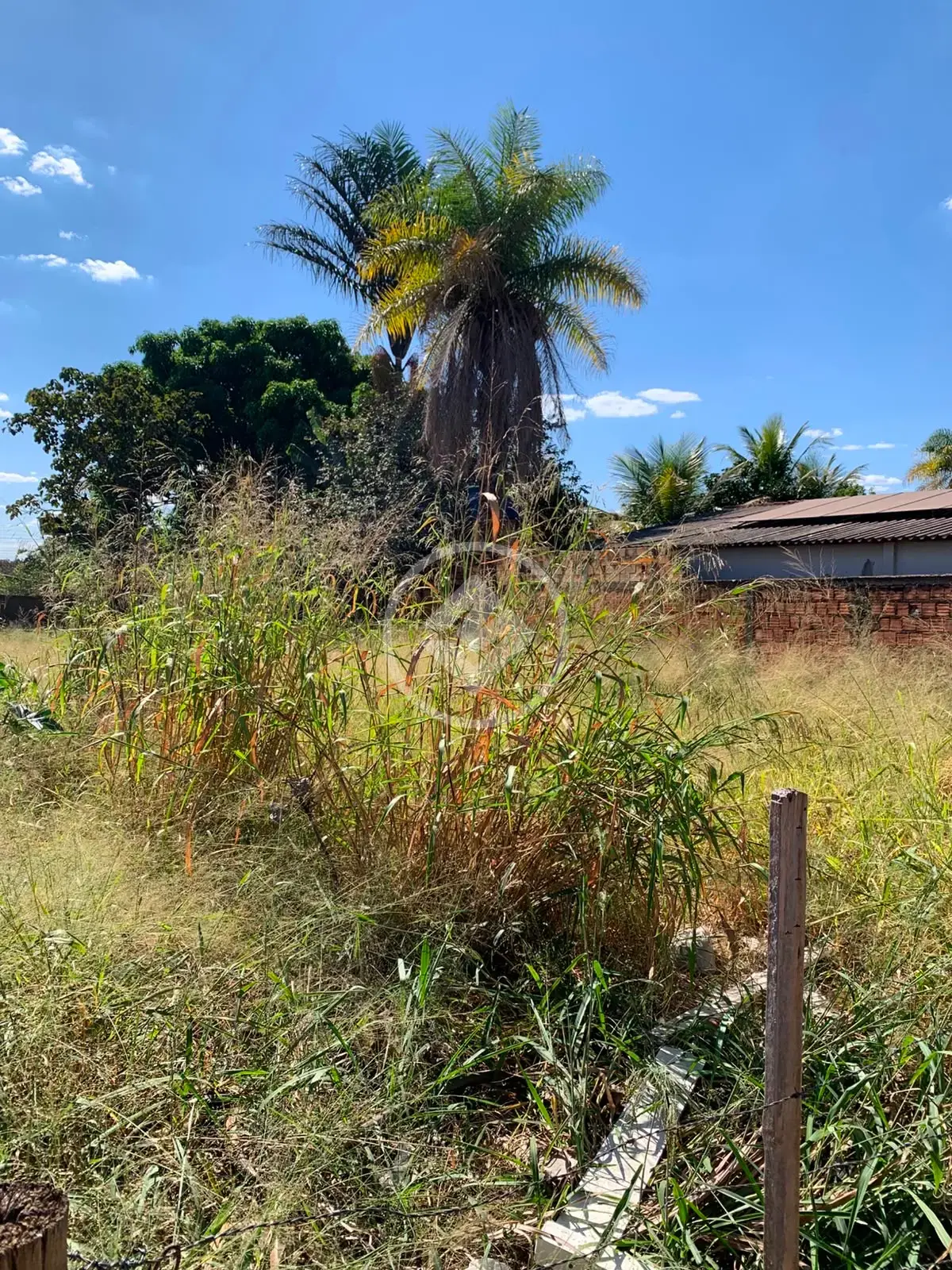 Image 2 - Terreno em Setor Marista Sul, Aparecida de Goiânia - GO