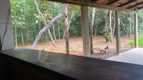 Imagem 2 - Chácara em Município de Professor Jamil, Professor Jamil - GO